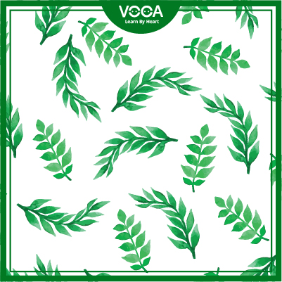 The world around us: Starters